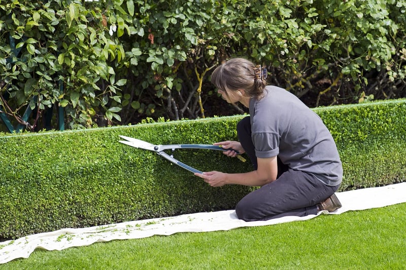 Pruning Example